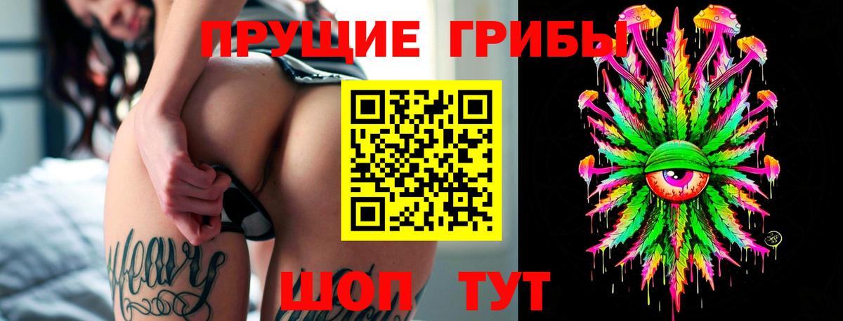 Псилоцибиновые грибы прущие грибы  Вход с VPN  Павловский Посад 