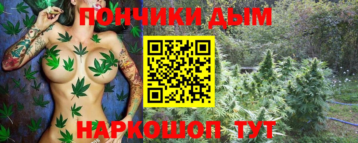МАРИХУАНА ГИДРОПОН Павловский Посад